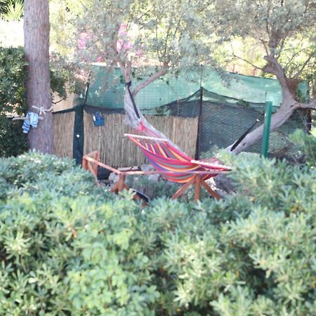 泰拉西尼Casa Elvira别墅 外观 照片