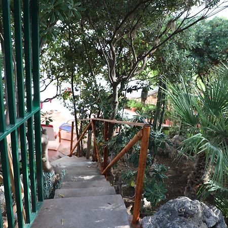 泰拉西尼Casa Elvira别墅 外观 照片